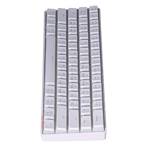 Annadue SKT61 PBT Wireless Mechanische Tastatur, 61 Tasten Bluetooth5.0 LED Hintergrundbeleuchtung Wiederaufladbare USB C Computertastatur, Für Win (weißgrüner Schaft) von Annadue