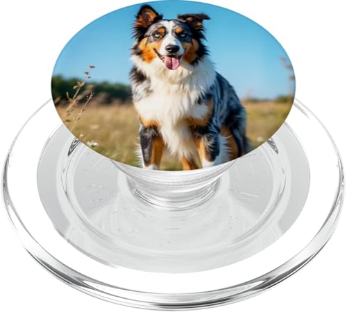 Australian Shepherd Hundemotiv ausgefallen Foto Tiere PopSockets PopGrip für MagSafe von ApiDesign