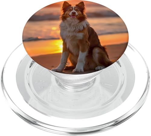 Australischer Schäferhund Hund Australian Shepherd Tiere PopSockets PopGrip für MagSafe von ApiDesign