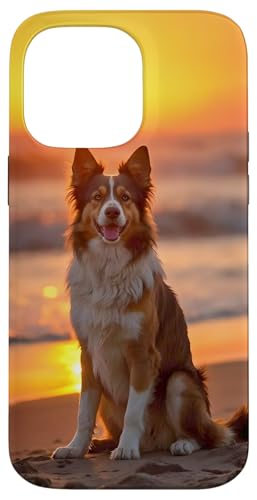 Hülle für iPhone 14 Pro Max Australischer Schäferhund Hund Australian Shepherd Tiere von ApiDesign