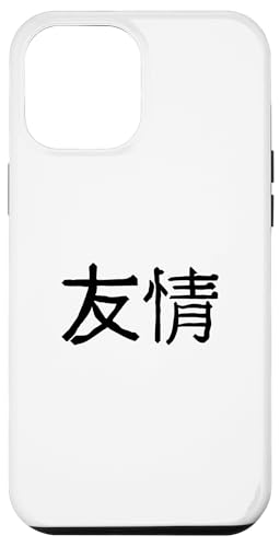 Hülle für iPhone 12 Pro Max Freundschaft in chinesischen Buchstaben von ArtAttack