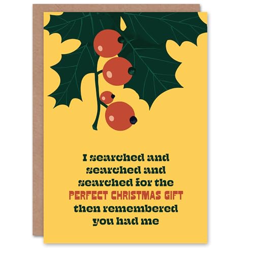 Artery8 I Searched For The Perfect Gift Funny Cheeky Blank For Him Or Her Art Christmas Card von Artery8