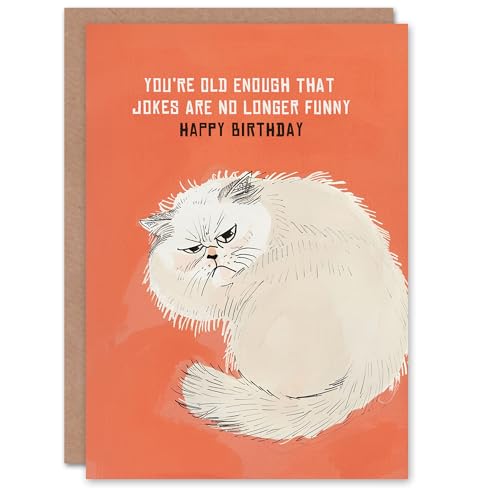 Artery8 Jokes Not Funny Old Age Joke Grumpy Cat Lover Blank For Him Or Her Art Birthday Card von Artery8