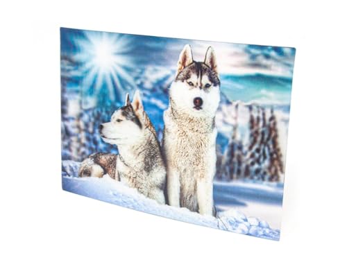 3D Postkarte Huskys von Artist Unknown