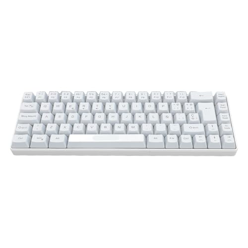 Asixxsix 68 Tasten RGB Mechanische Gaming-Tastatur mit USB-zu-Typ-C-Schnittstelle, Abnehmbare Tastenkappen, Ergonomische Kabelgebundene Tastatur für PC 2000 XP 7 8 10 Vista 32bit (White) von Asixxsix