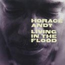 Living in the Flood [Vinyl LP] von Astralwerks
