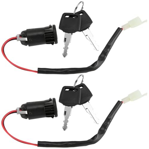 Elektroroller-Zündschlossschalter und Schlüsselsatz, 2 Schlüssel für den Austausch von Dreiradzubehör, Stilvolles Design von Ausla