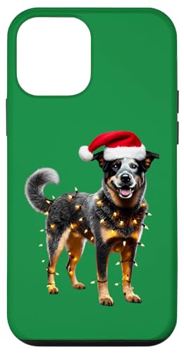 Hülle für iPhone 12 mini Australischer Rinderhund mit Weihnachtsmannmütze, Weihnachtsbeleuchtung von Australian Cattle Dog Christmas Products