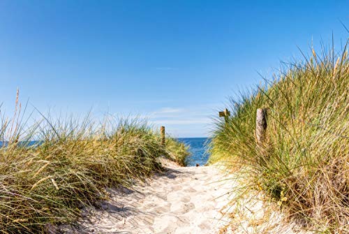 Magnettafel Pinnwand XXL Bild Strand Düne Strandweg Größe 100 x 80 cm von B-wie-Bilder