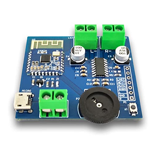 BEEOFICEPENG Bluetooth Audio Modul Bluetooth Verstärker Modul Bluetooth 4.2 2 Kanal Stereo Audio Modul von BEEOFICEPENG