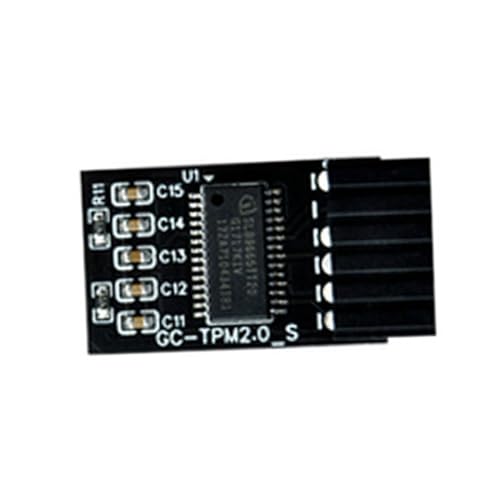 TPM 2.0 Verschlüsselungssicherheitsmodul LPC 12Pin TPM2.0 Remote Card Security Module für 11 für Motherboards von BINGGA