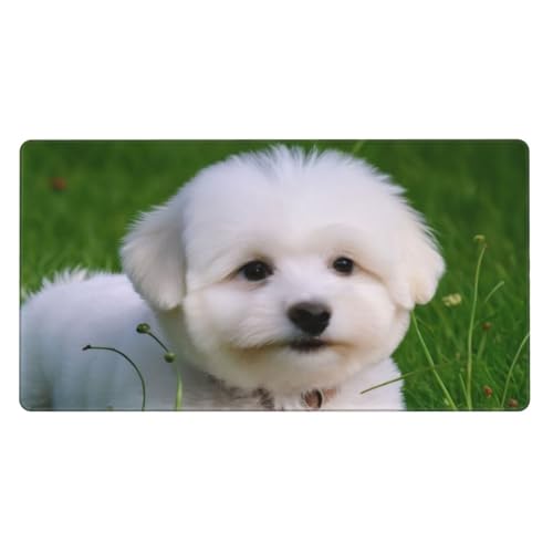 Bichon On The Grass Großes Mauspad, Gaming-Mauspad, 40 cm x 75 cm x 0,3 cm, rutschfeste Gummi-Schreibtischunterlage für Gaming und Büro von BKTRAVERPT