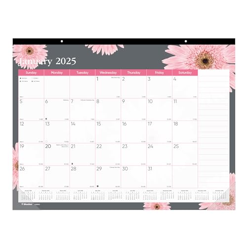 Blueline® 2025 Pink Monats-Schreibtischunterlage Kalender, 12 Monate, Januar bis Dezember, 55,9 x 43,2 cm, rosa Gänseblümchen-Design (C193105-25) von BLUELINE