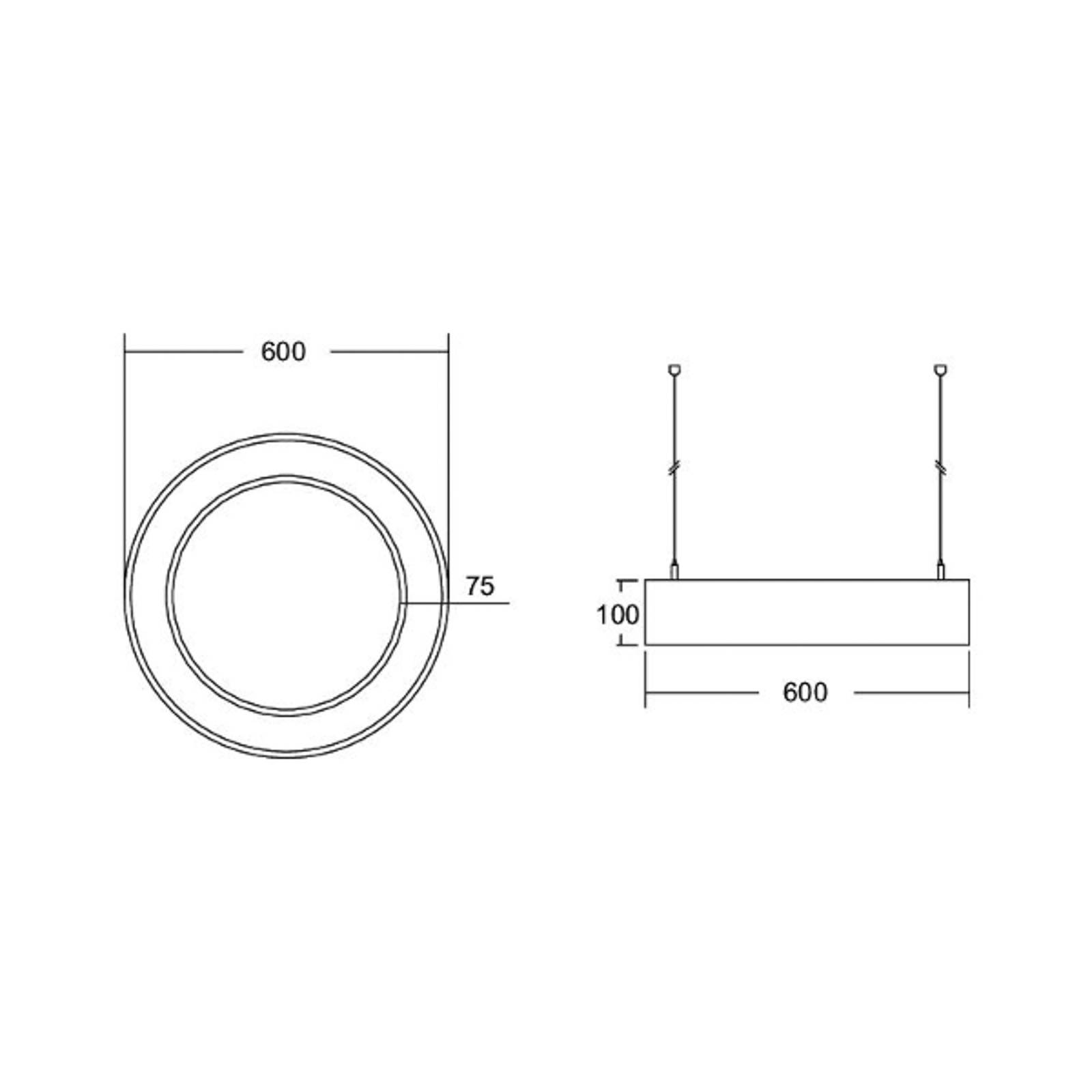 BRUMBERG Biro Circle Ring10 direkt Ø 60 cm DALI silber 830 von BRUMBERG