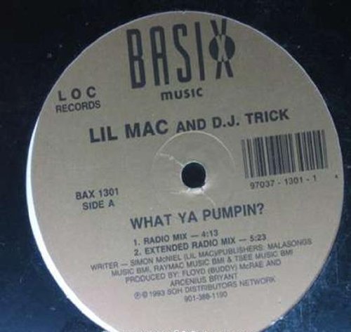 What Ya Pumpin [Vinyl LP] von Basix Records