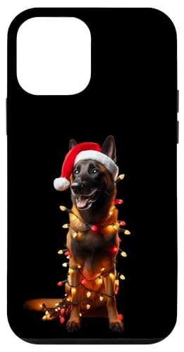 Hülle für iPhone 12 mini Belgischer Malinois mit Weihnachtsmannmütze Weihnachtsbeleuchtung Hundebesitzer von Belgian Malinois Christmas Products