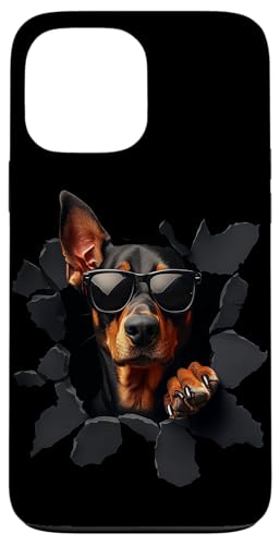 Hülle für iPhone 13 Pro Max Lustige Hunde mit Sonnenbrille Funny Dog Süß Hund Dobermann von Besten Tier Motive aller Art - Kunstwerk AnimalArt