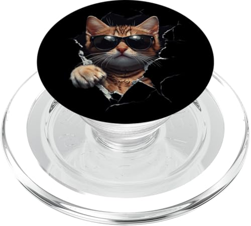 Lustiges Katzen Kunst Funny Cat Süße Katze mit Sonnenbrille PopSockets PopGrip für MagSafe von Besten Tier Motive aller Art - Kunstwerk AnimalArt