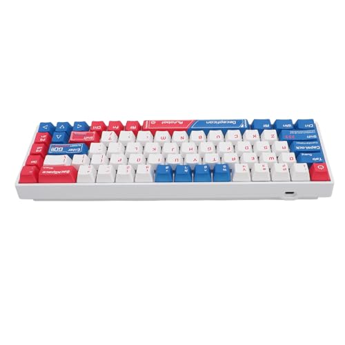 Bewinner 68 Tasten 60% Mechanische Gaming-Tastatur, RGB-hintergrundbeleuchtete 3-Modus-Funktastatur mit Rotem Schalter, Typ C Verkabelt für 10/IOS von Bewinner