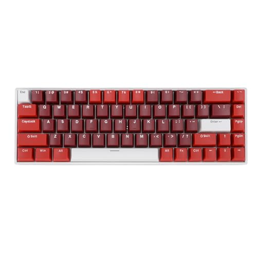 Bewinner Kabelgebundene Mechanische Tastatur mit 68 Tasten, Mechanische Gaming-Tastatur mit RGB-Hintergrundbeleuchtung und Rotem Schalter, Ergonomisch für Computer mit USB-Anschluss, Typ von Bewinner