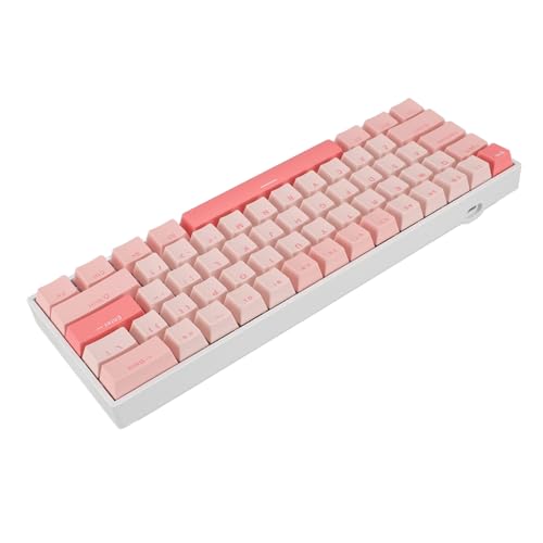 Bewinner kabelgebundene Mechanische Tastatur, RGB-Blue-Switch-Mechanische Tastatur, 61 Tasten, kabelgebundene Gaming-Business-Unterstützung 10, mit Mehreren Beleuchtungsmodi, für von Bewinner