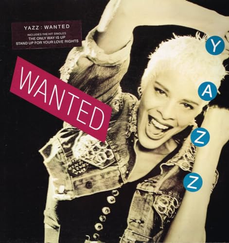 Wanted (1988) / Vinyl record [Vinyl-LP] von Big Life
