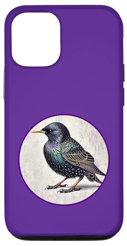 Hülle für iPhone 13 Buntes europäisches Sternenvogel-Design im Retro-Stil von Bird Fan