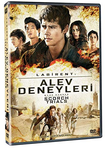 Maze Runner: The Scorch Trials - Labirent: Alev Deneyleri (DVD) von Birfilm