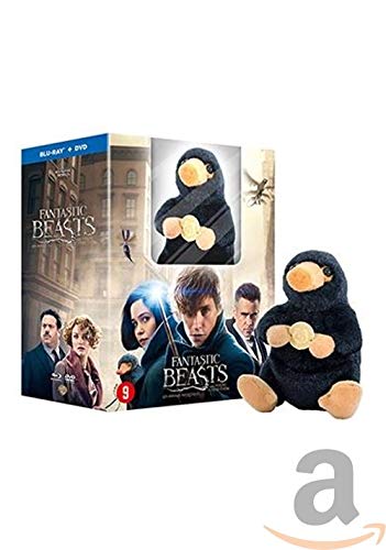 BLU-RAY - Fantastic Beasts And Where To Find Them + Pluche (1 BLU-RAY) von BookSpot B.V. (inzake New Book uitg)