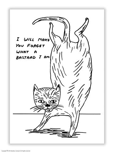 Offizielle David Shrigley | lustig freche Humorvoll | "Bastard Cat" | Postkarte | verkauft von Brainbox Candy von Brainbox Candy