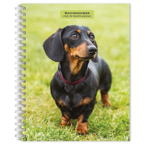 BrownTrout, Dachshunds 2025 Verlobungsplaner von BrownTrout