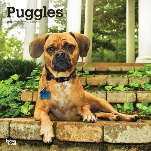 Puggles 2025 12 X 24 Inch Monthly Square Wall Calendar Plastic-Free von BrownTrout