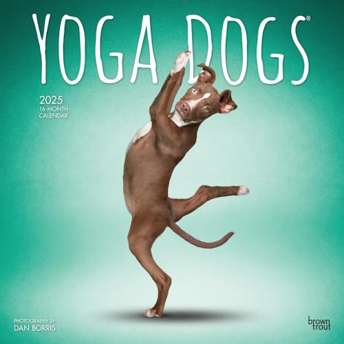 Yoga Dogs Official 2025 12 X 24 Inch Monthly Square Wall Calendar Plastic-Free von BrownTrout