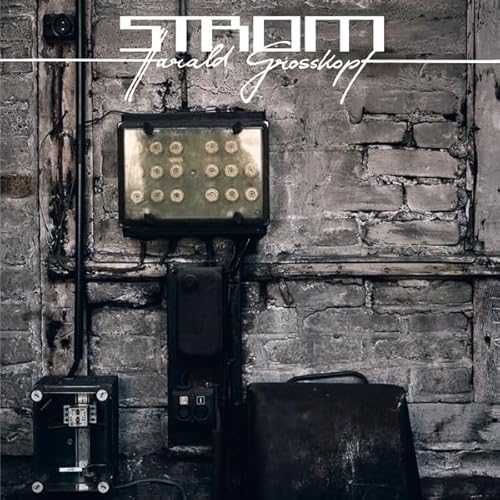 Strom [Vinyl LP] von Bureau B / Indigo