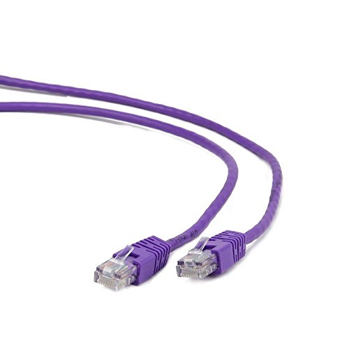 Gembird RJ45/RJ45 CAT6 0.25 m von CDL Micro