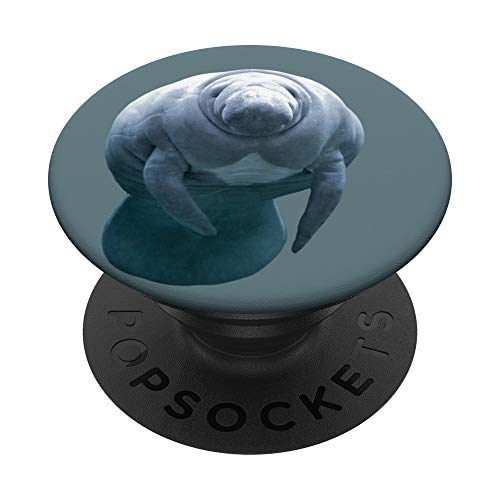 Seekuh Seekuh PopSockets mit austauschbarem PopGrip von CJ Grips