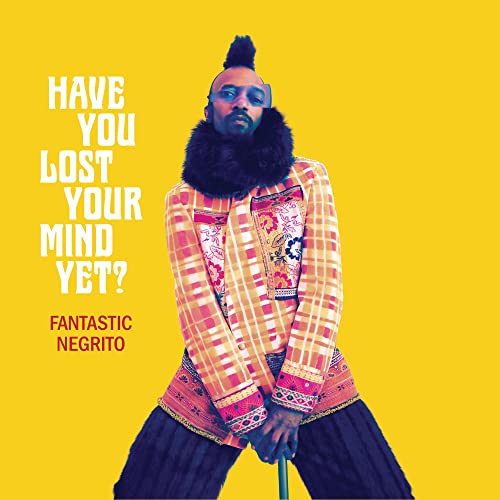 Have You Lost Your Mind Yet? [Vinyl LP] von COOKING VINYL