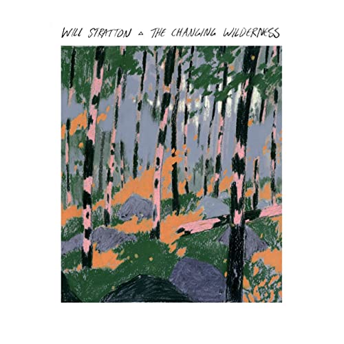 The Changing Wilderness The Changing Wilderness von COOP-BELLA UNION