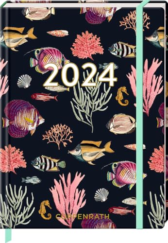 Kleiner Wochenkalender: Mein Jahr 2024 - Fische (I love my Ocean) von COPPENRATH, MÜNSTER