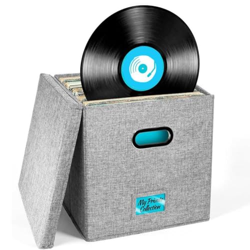 CTRLZS Aufbewahrungsbox für Schallplatten mit Deckel und Griffen, Organizer für LP-Schallplatten, Stilvolle Heimdekoration, Schützender Albumhalter von CTRLZS