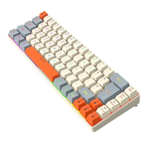 CYILPR 68-Tasten Kabeltastatur Mit ARGB Hintergrundbeleuchtungsmodi Ergonomische Tastatur Für Spiele Und Bürogebrauch Tragbar Einfach Zu Bedienen von CYILPR