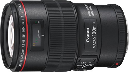 CANON Objectif EF 100mm f/2.8 L is USM Macro (Generalüberholt) von Canon