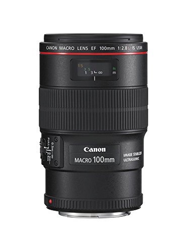 Canon EF 100mm F2.8 L IS USM Macro-Objektiv (67mm Filtergewinde, bildstabilisiert) schwarz von Canon