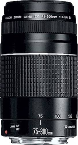 Canon EF DC 4,0-5,6/75-300 III 6473A015 Zoom-Objektiv von Canon