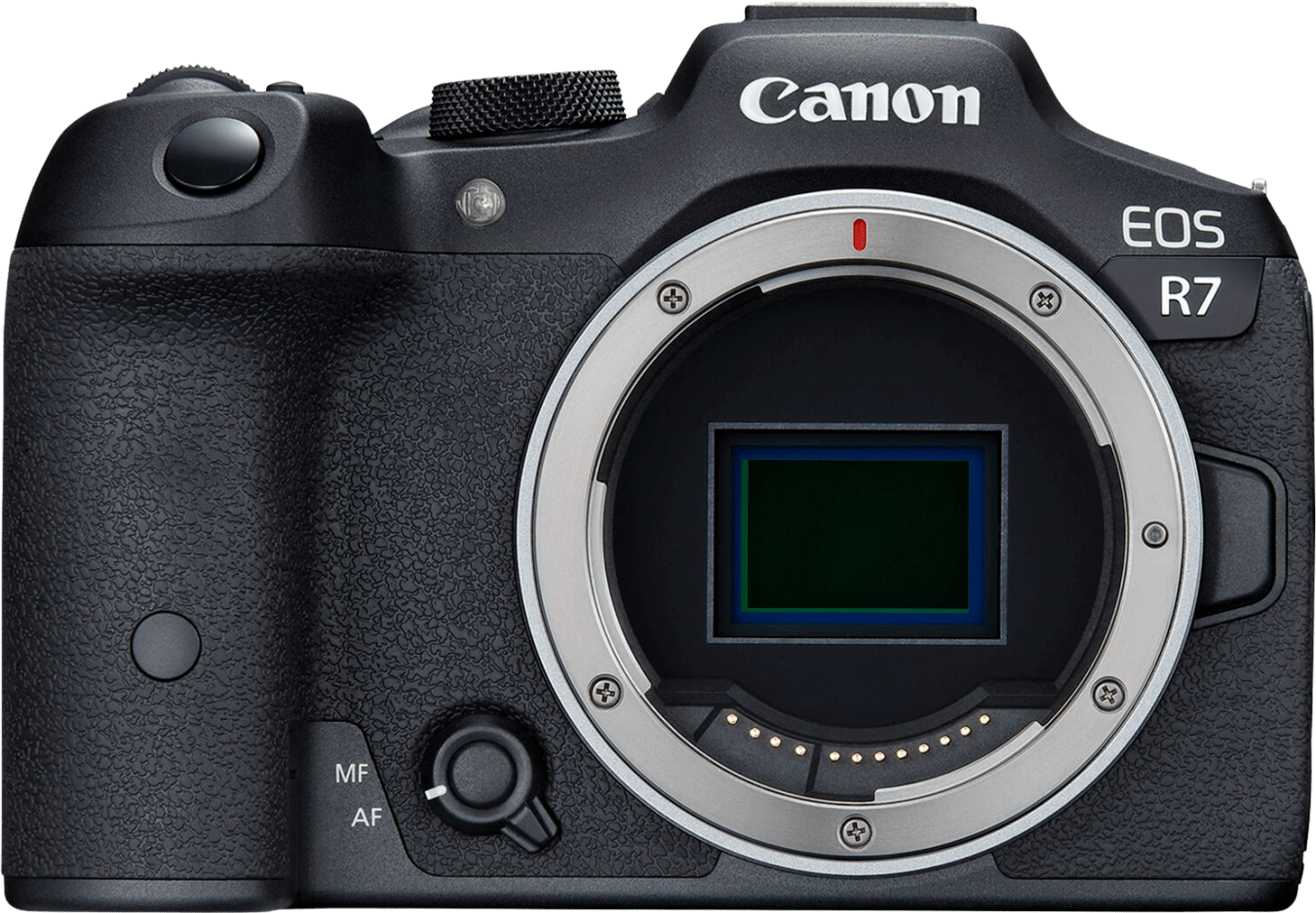 Canon EOS R7 Gehäuse von Canon