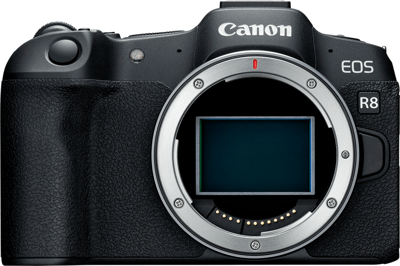 Canon EOS R8 Systemkamera (nur Gehäuse) von Canon