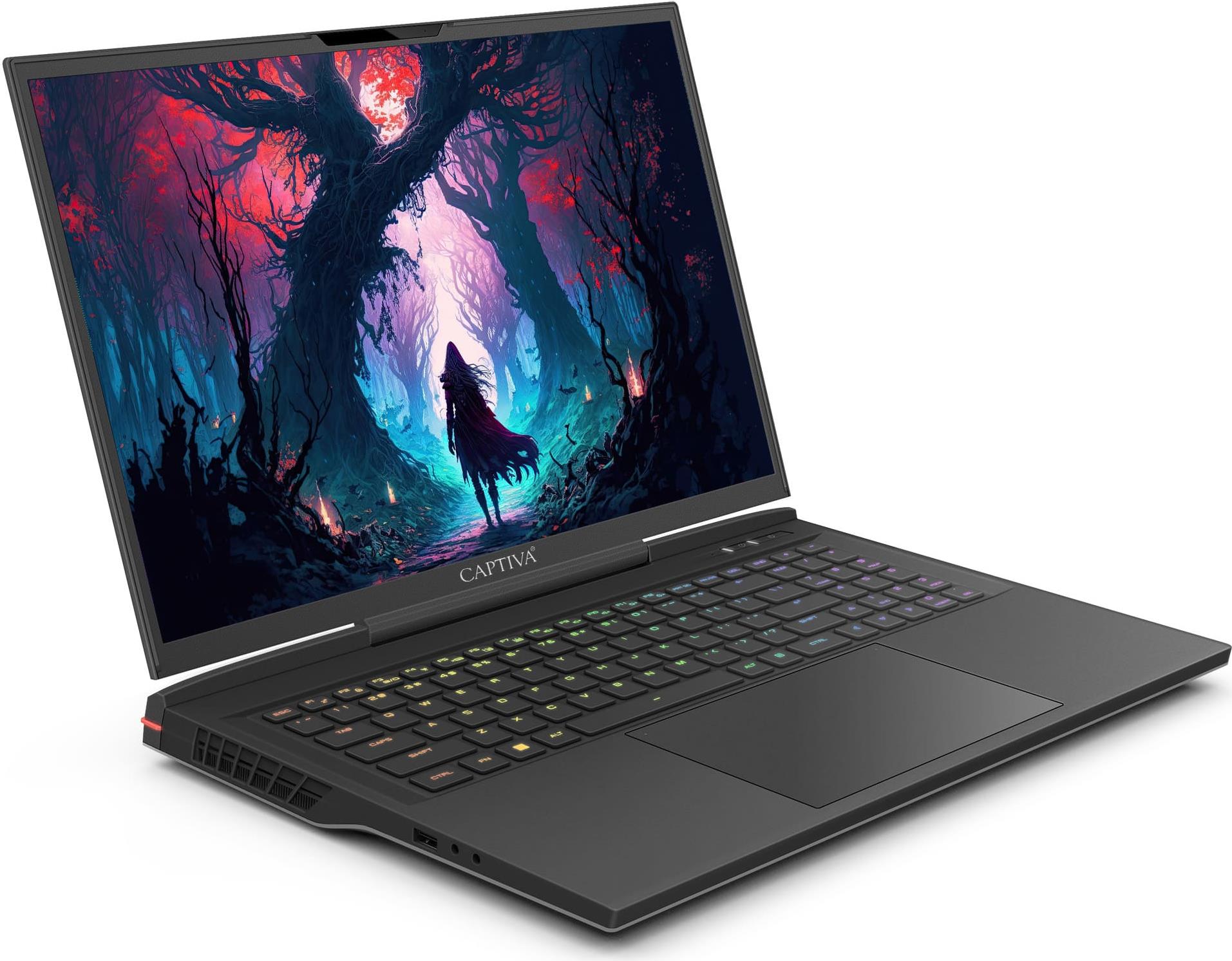 CAPTIVA Highend Gaming I81-490 Laptop 43,9 cm (17.3") WQXGA Intel� Core� i9 32 GB DDR5-SDRAM 4 TB SSD NVIDIA GeForce RTX 4070 Wi-Fi 6 (802.11ax) Windows 11 Home Schwarz (81490) von Captiva