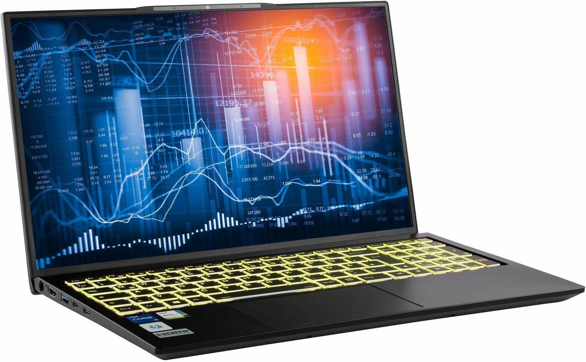 CAPTIVA Power Starter I76-120 Laptop 43,9 cm (17.3) Full HD Intel® Core i5 32 GB DDR5-SDRAM 500 GB SSD Wi-Fi 6 (802.11ax) Windows 11 Home Schwarz (76120) von Captiva