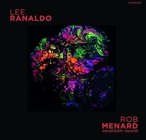 Lee Ranaldo/Rob Menard Split Release [Musikkassette] von Cassauna