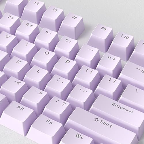 Catekro Tastenkappen, Standard Doubleshot ABS Tastenkappen-Set, OEM-Profil, durchscheinende Tastenkappen für DIY mechanische Tastatur (Violett-ABS) von Catekro